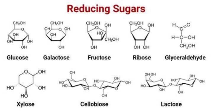 Are acetals reducing sugars?