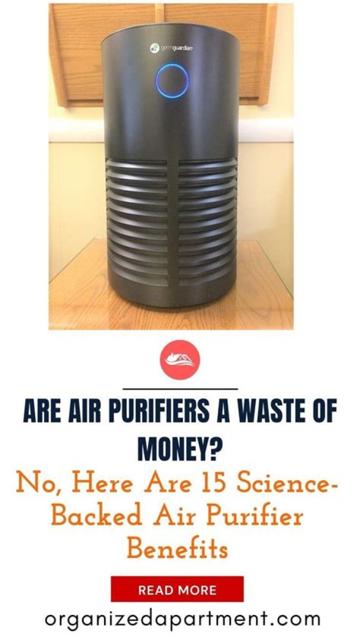 Are air purifiers a waste of money?