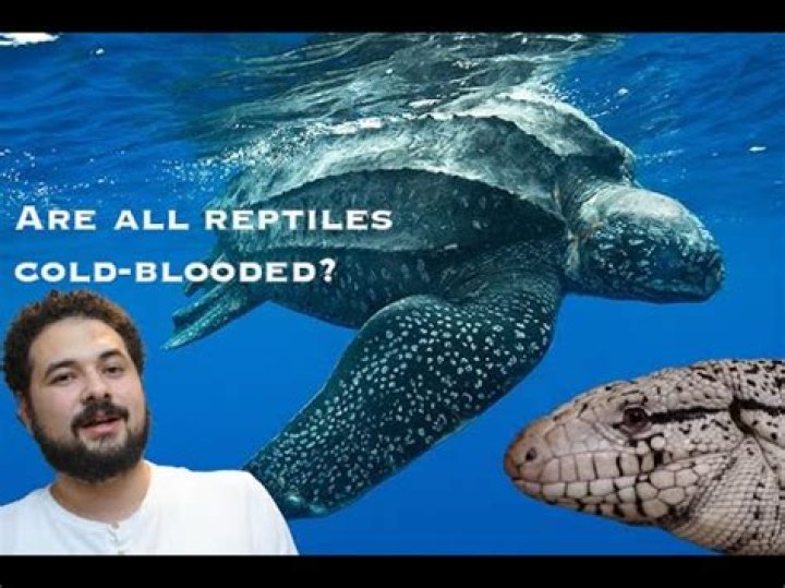 Are all reptiles cold blooded?