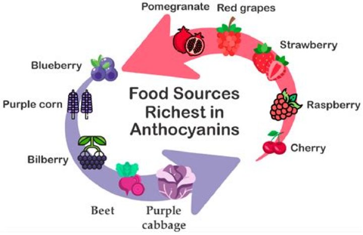Are anthocyanins destroyed by cooking?