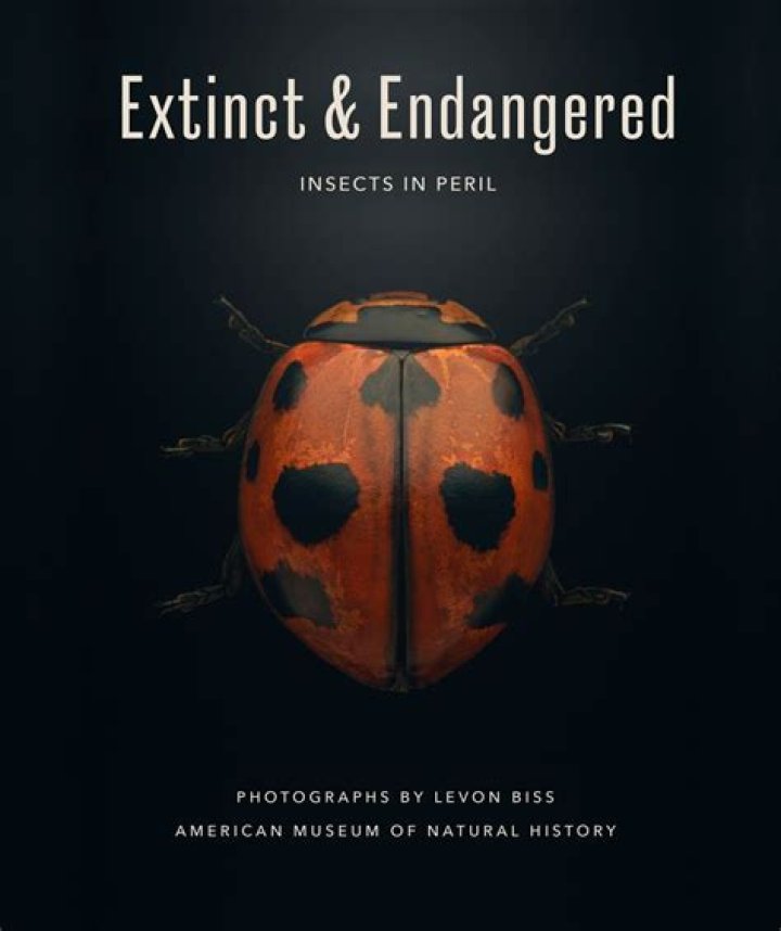 Are any insects endangered?