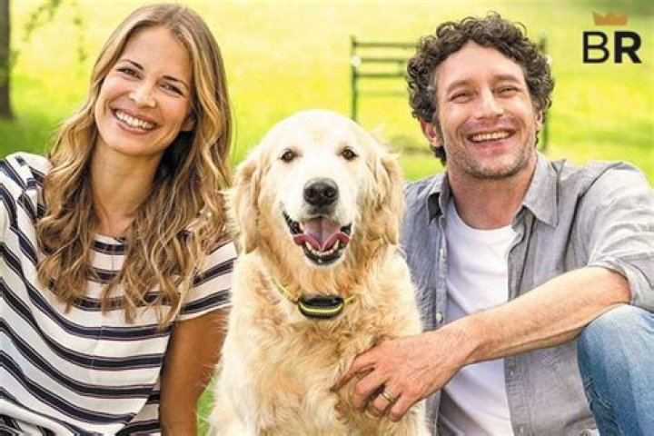 Are bark collars humane?