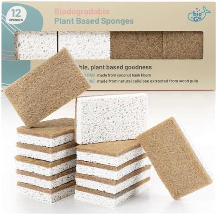 Are bath sponges biodegradable?