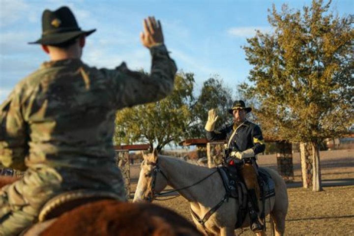 Are cav scouts pogs?