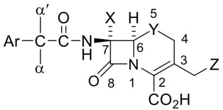 Are cephalosporins beta lactam?