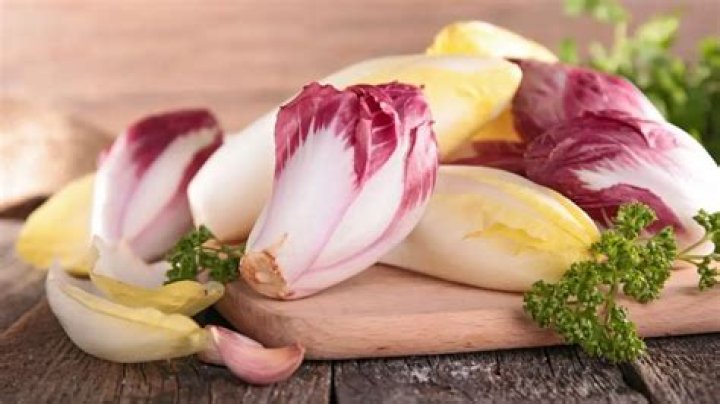 Are chicories safe to eat?