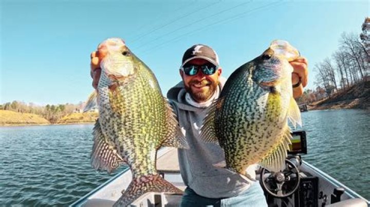 Are crappie line shy?