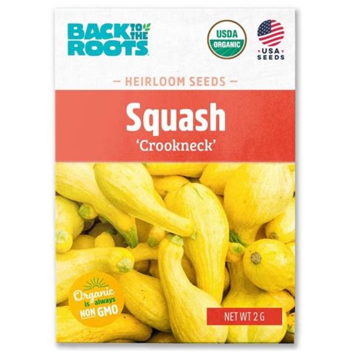 Are crookneck squash edible?