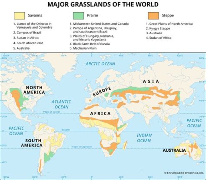 Are grasslands good for farming?