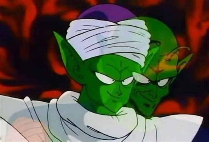 Are kami and piccolo the same person?