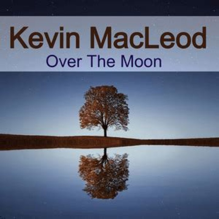 Are kevin macleod songs copyrighted?