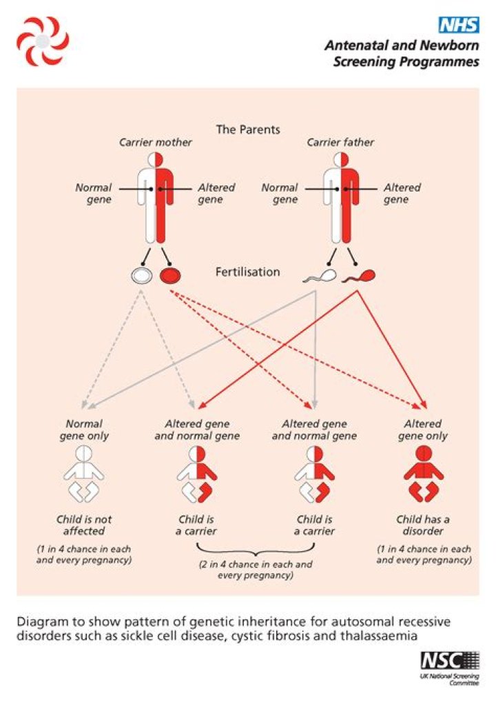 Are lethal gene recessive?