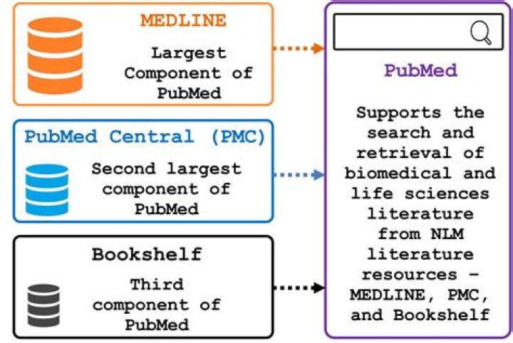 Are medline and pubmed the same?