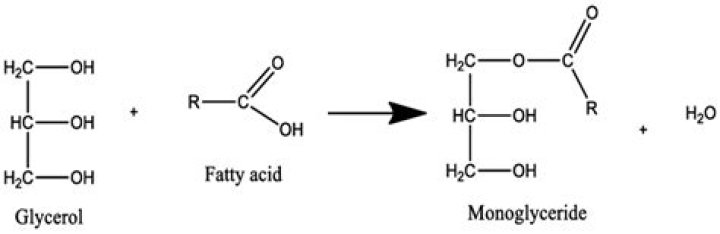 Are monoglycerides bad for you?