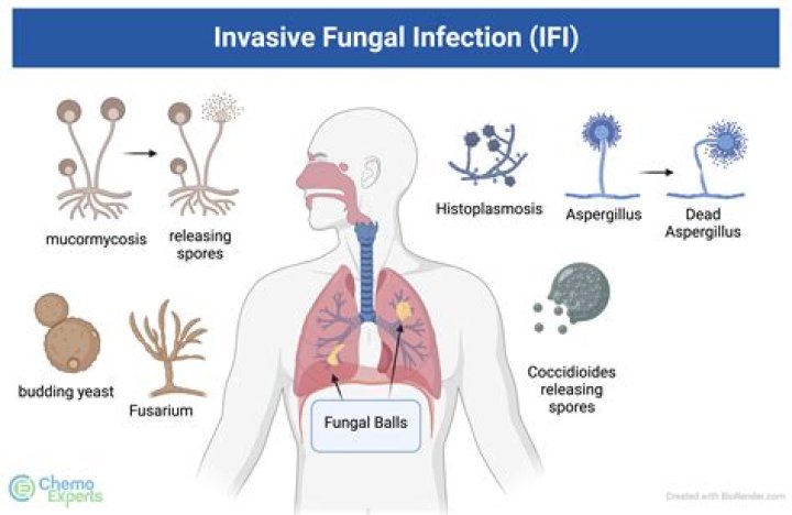 Are pathobiology and pathology the same?