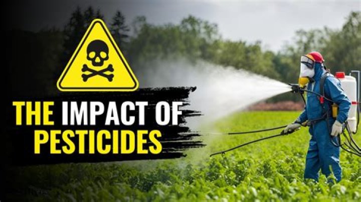 Are pesticides bad for humans?