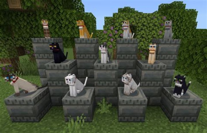Are phantoms scared of cats in minecraft?