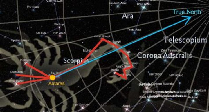 Are scorpius and rose canon?