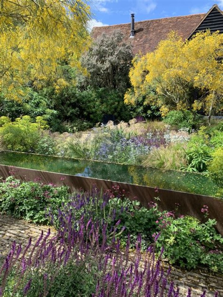 Are south facing gardens better?