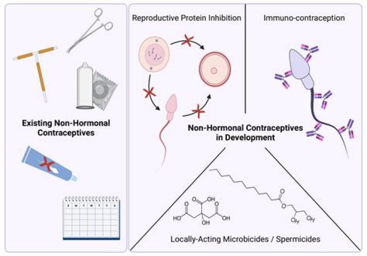 Are spermicidal agents hormonal?