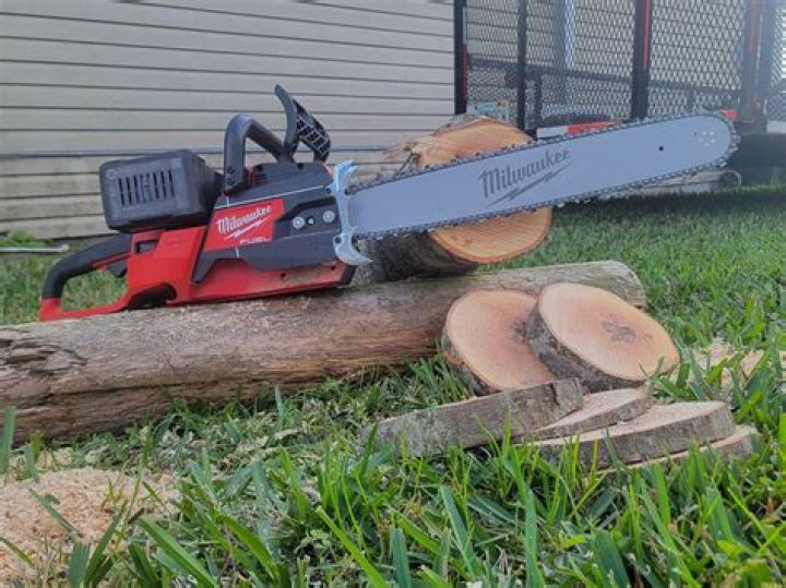 Are tanaka chainsaws good?