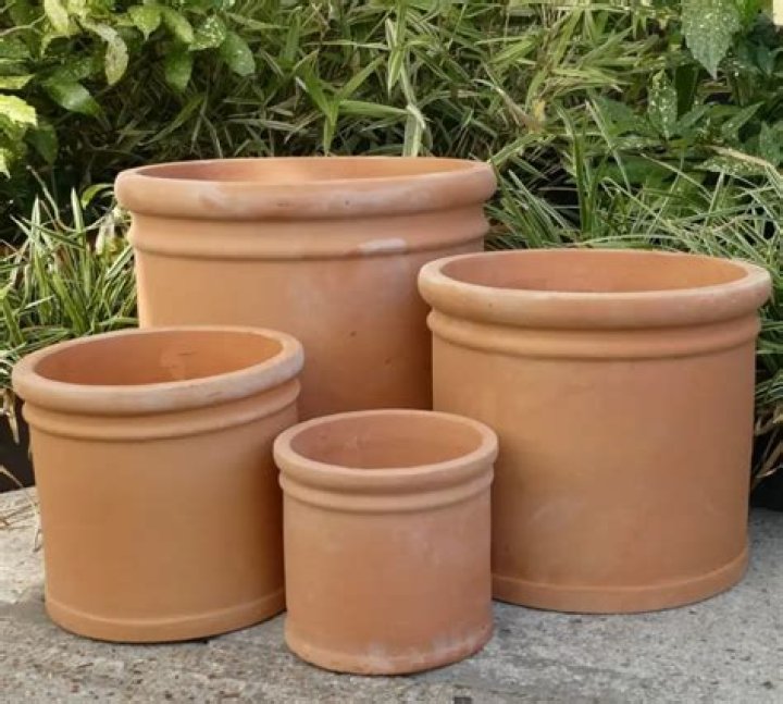 Are terracotta pots good for plants?