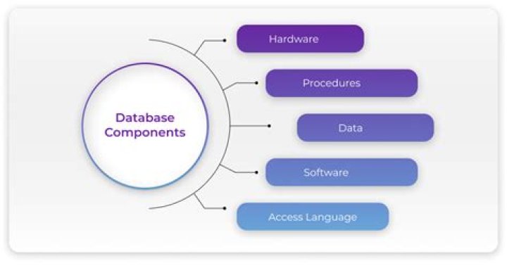 Are the components of a database?
