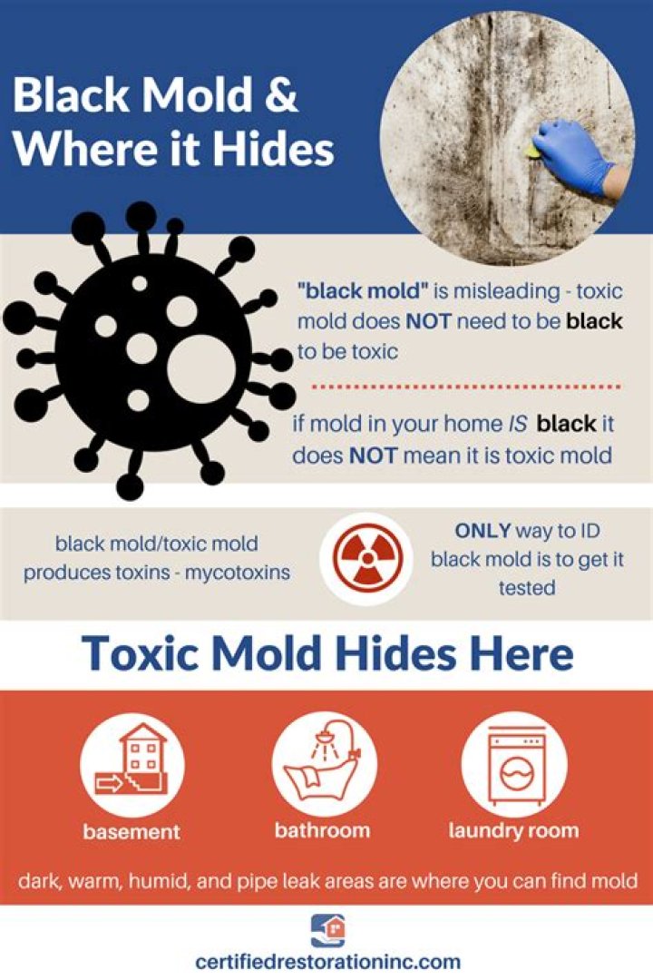 Are the symptoms of black mold exposure?
