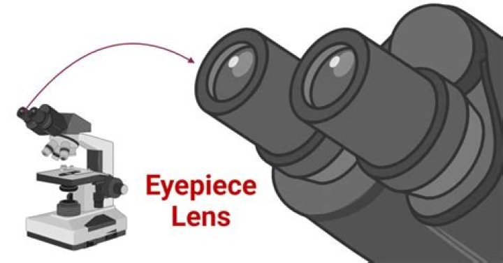 Are the two function of eyepiece?