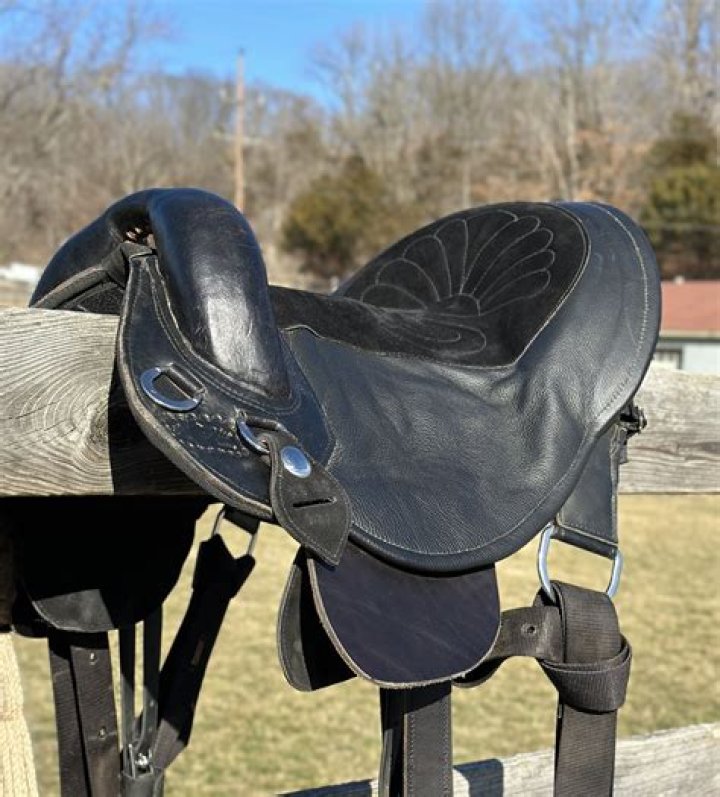 Are treeless saddles better?