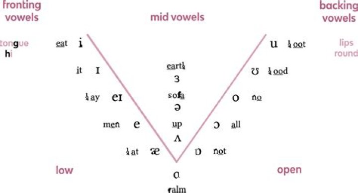 Are vowels always voiced?