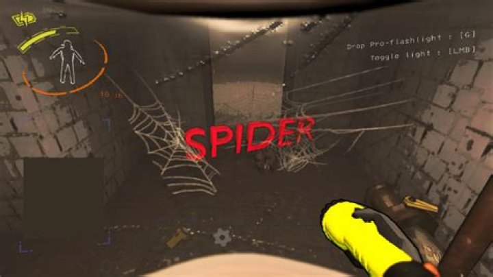 At does lethal mean?