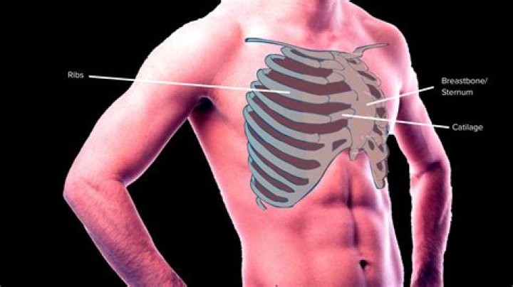 At does nuzzle mean?