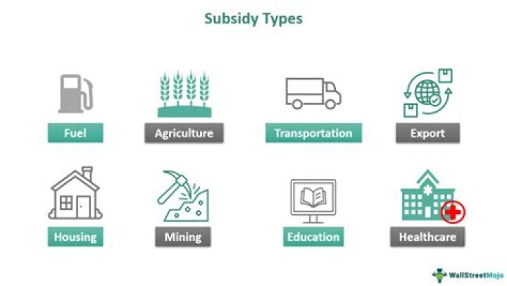 At does subsidize mean?