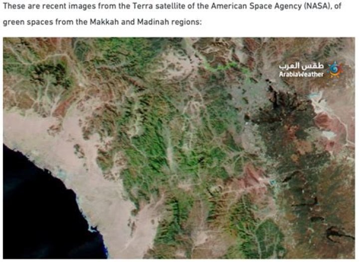 At the arabian peninsula?