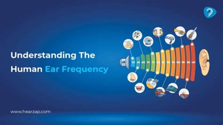 At what frequencies can humans hear?