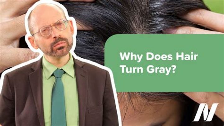 Can a strand of hair turn gray?