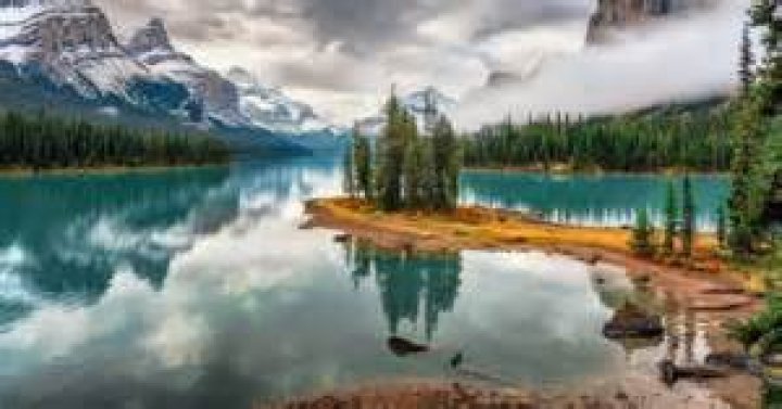 Can admire from afar?