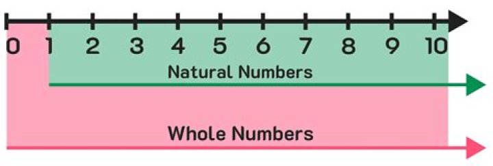 Can all natural numbers are whole numbers?