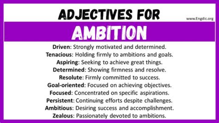 Can ambition be a noun?