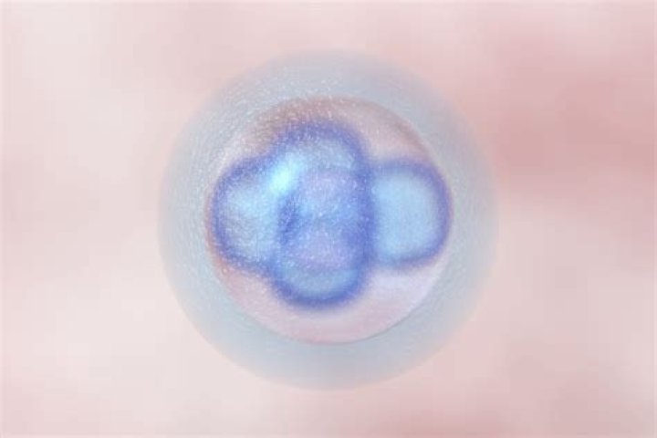 Can blighted ovum happen with ivf?