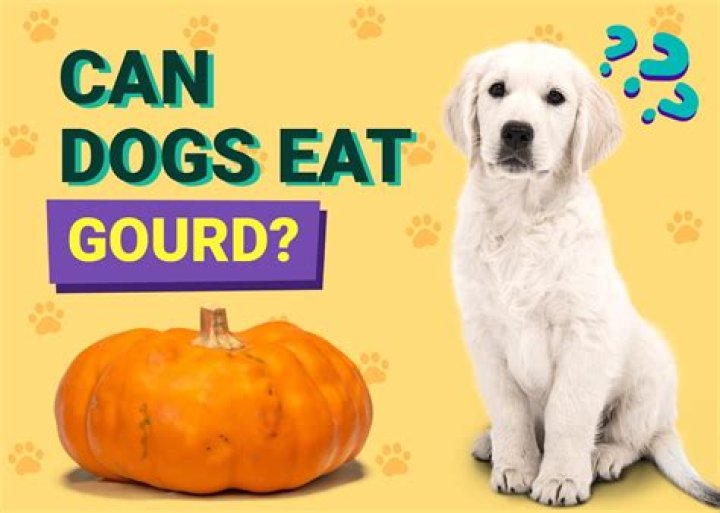 Can dogs eat gourd?
