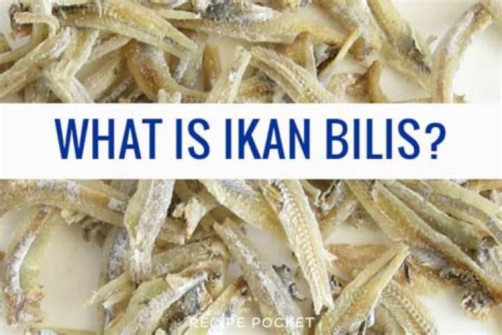 Can dogs eat ikan bilis?