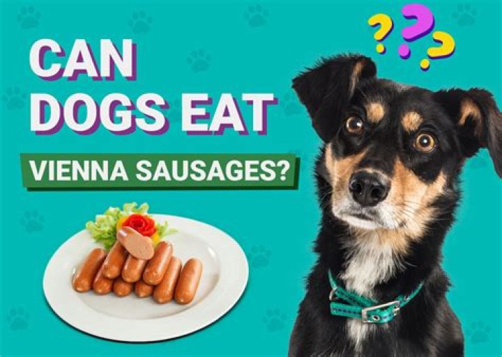 Can dogs eat vienna sausage?