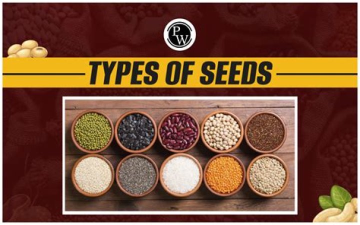 Can fledglings eat seeds?