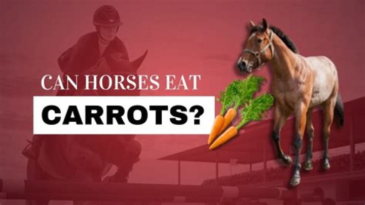 Can horse eat carrots?