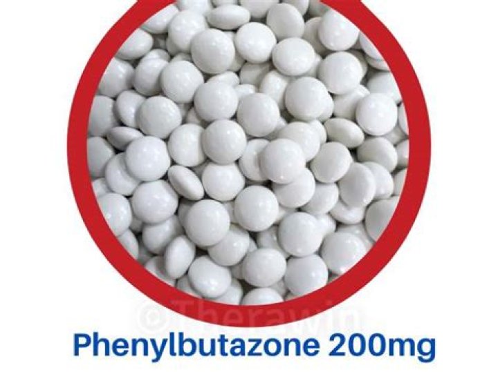 Can humans take phenylbutazone?