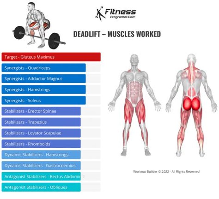 Can i do deadlifts twice a week?