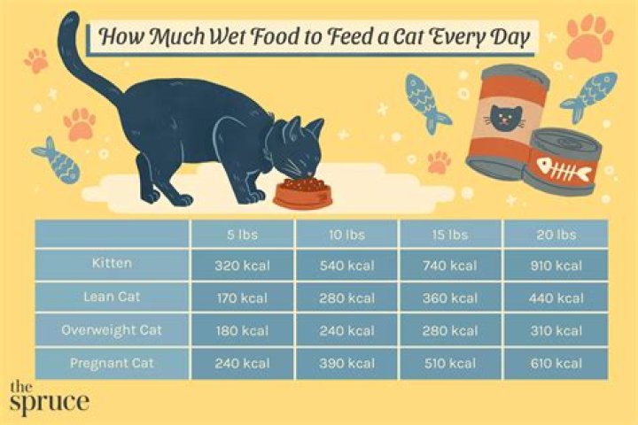 Can i feed my cat pork chops?