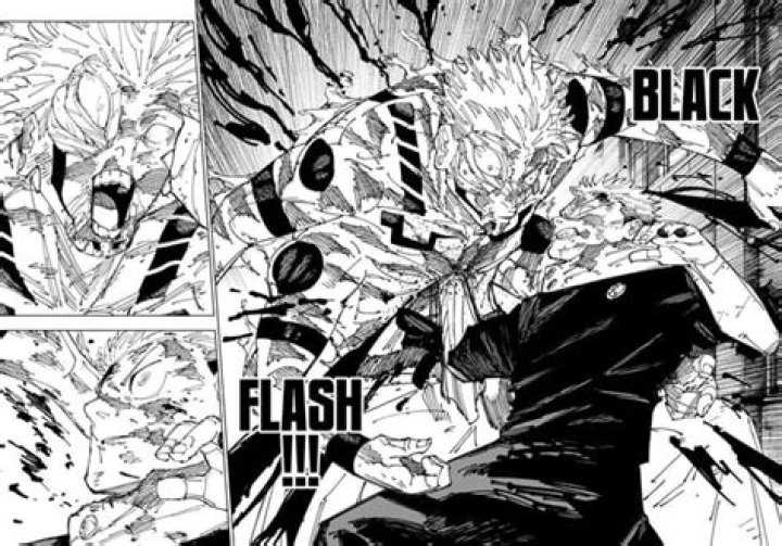 Can i still use flash after 2020?